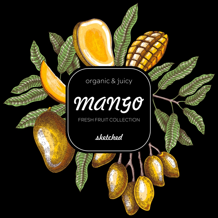Summer background. Tropical fruit sketches. Mango hand-drawn vector illustration. Exotic plants frame. Juice packaging, invitation card template, print design, mixed media collage. NOT AI generated